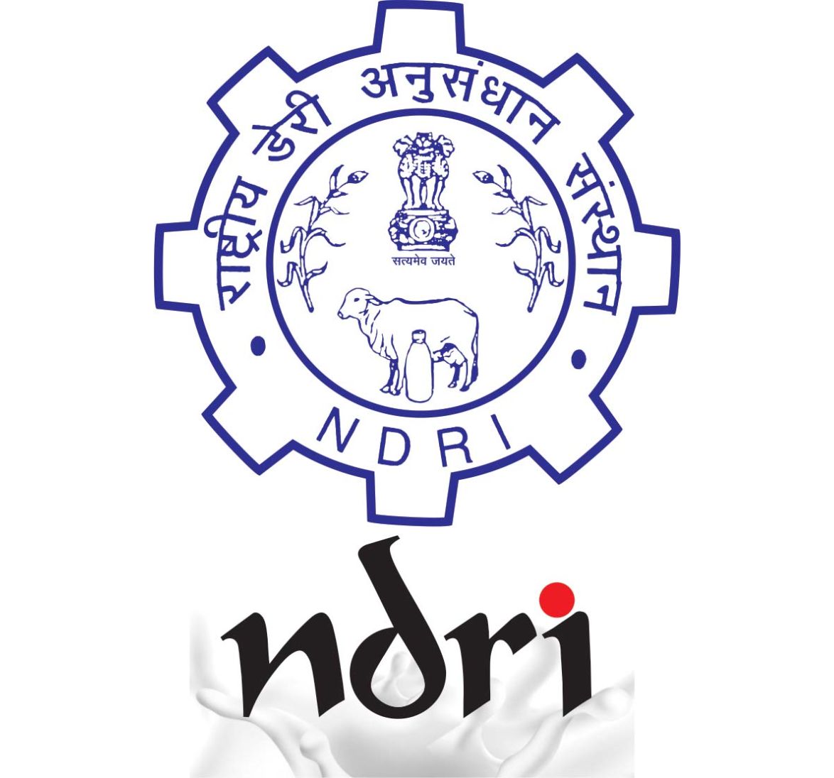 NDRI-Logo-Full-Size.jpg